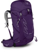 TEMPEST 30 III, violac purple