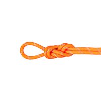 MAMMUT 9.5 Alpine Dry Rope Dry Standard