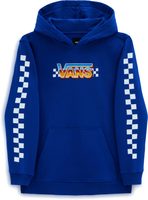 VANS B BOSCO PO HOODIE surf the web