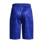 UA Renegade 3.0 PRTD Shorts, Blue