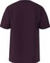 LOWER CORECASE SS TEE BLACKBERRYWINE/