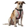 Dog Harness - Reflective, black