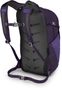 DAYLITE PLUS 20l, dream purple