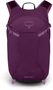 SPORTLITE 20, aubergine purple