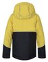 ANAKIN JR, vibrant yellow/dark gray mel