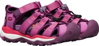 NEWPORT NEO H2 C red violet/grape wine