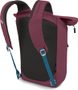 ARCANE TOTE PACK 20, allium red/brindle brown