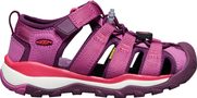 NEWPORT NEO H2 C red violet/grape wine