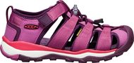 NEWPORT NEO H2 Y red violet/grape wine