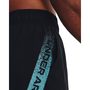 UA Woven Graphic Shorts, Black