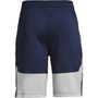 UA Raid 2.0 Shorts, Navy