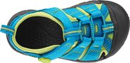 Newport H2 INF, hawaiian blue/green glow