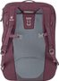 Aviant Carry On Pro 36 SL maron-aubergine