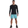 UA HG Armour Fitted LS, Black