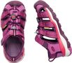 NEWPORT NEO H2 C red violet/grape wine