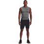 UA HG Armour Comp SL, Gray