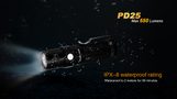 PD25