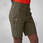 Abisko Trail Stretch Shorts W Black