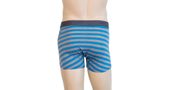 MERINO ACTIVE men's shorts, blue/grey thin stripes