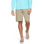 UA Fish Hunter Short, Brown