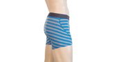 MERINO ACTIVE men's shorts, blue/grey thin stripes