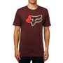 Zerio Ss Premium Tee, dark maroon