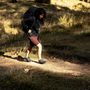 Abisko Trail Stretch Shorts W Deep Forest
