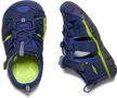 SEACAMP II CNX INF., blue depths/chartreuse