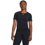 Train Seamless SS-BLK