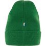 Classic Knit Hat, Palm Green