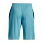 UA Prototype 2.0 Logo Shorts, Blue