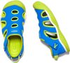 STINGRAY C, brilliant blue/chartreuse