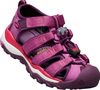 NEWPORT NEO H2 C red violet/grape wine