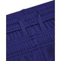 UA TECH GRAPHIC SHORT, Blue/purple