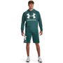 Rival Fleece Big Logo HD, green