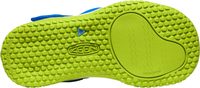 STINGRAY C, brilliant blue/chartreuse