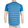 MERINO ACTIVE men's shirt neck sleeve blue stripes