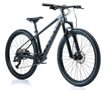 Rascal Rebel 29" Carbon