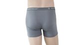 MERINO ACTIVE men's shorts light grey