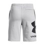 RIVAL FLEECE LOGO SHORTS, grey