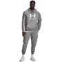 Rival Fleece Logo HD, grey