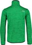 NBWFM5887 REACH amazon green - men's sweater