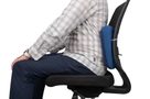 Aeros Premium Lumbar Support, Navy