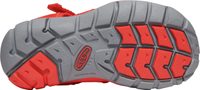 SEACAMP II CNX C fiery red