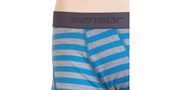 MERINO ACTIVE men's shorts, blue/grey thin stripes