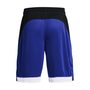 UA BASELINE 10'' SHORT, Blue