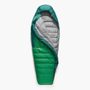 Ascent -1C Down Sleeping Bag Regular Rain Forest Green