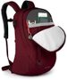 APHELIA, 26 L red herring