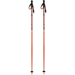 BLIZZARD Race ski poles, black/orange