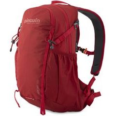 PINGUIN Ride 19 Red